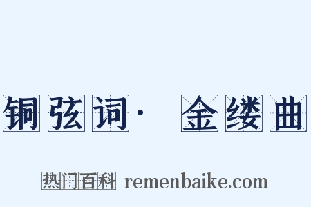 铜弦词·金缕曲是什么意思的图片